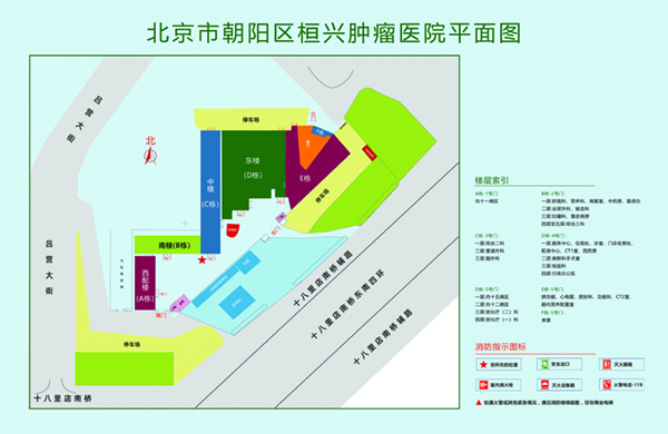 少女被抽插欲罢不能啊啊啊啊上下抽插欲罢不能北京市朝阳区桓兴肿瘤医院平面图